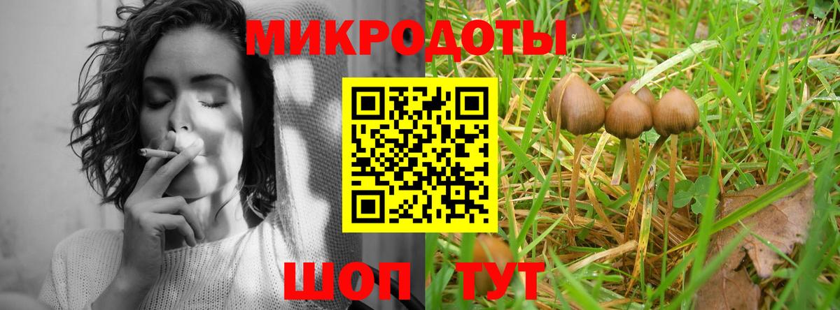 Галлюциногенные грибы MAGIC MUSHROOMS  Вход с VPN  сколько стоит  Псилоцибиновые грибы Psilocybe  Озёрск 